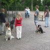 2011 - 21.05.11-Kids&Dogs in der Burgdorfer City